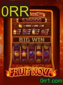 Descubra o Fascinante Mundo de FruitNova